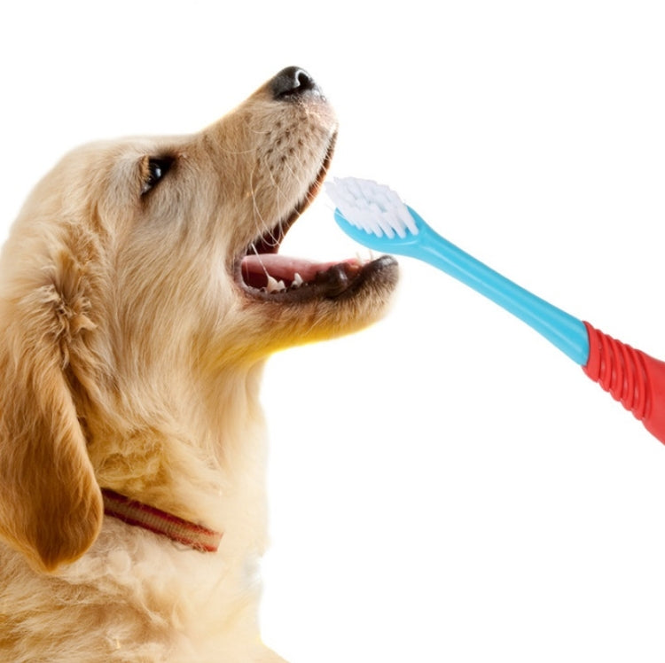 Pet Double-Head Toothbrush Pet Oral Cleaning Products