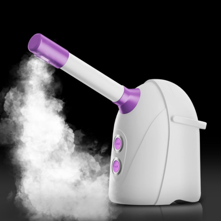 Hot & Cold Aromatherapy Face Steamer Spray Moisturizer CN Plug