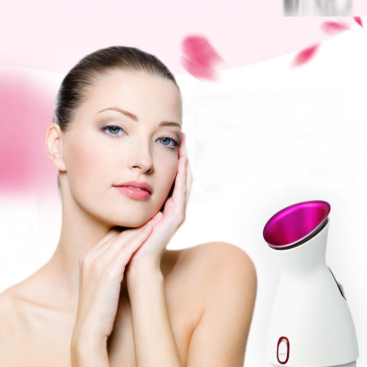 Hot And Cold Face Steamer Facial Moisturizing Spray Beauty Instrument CN Plug