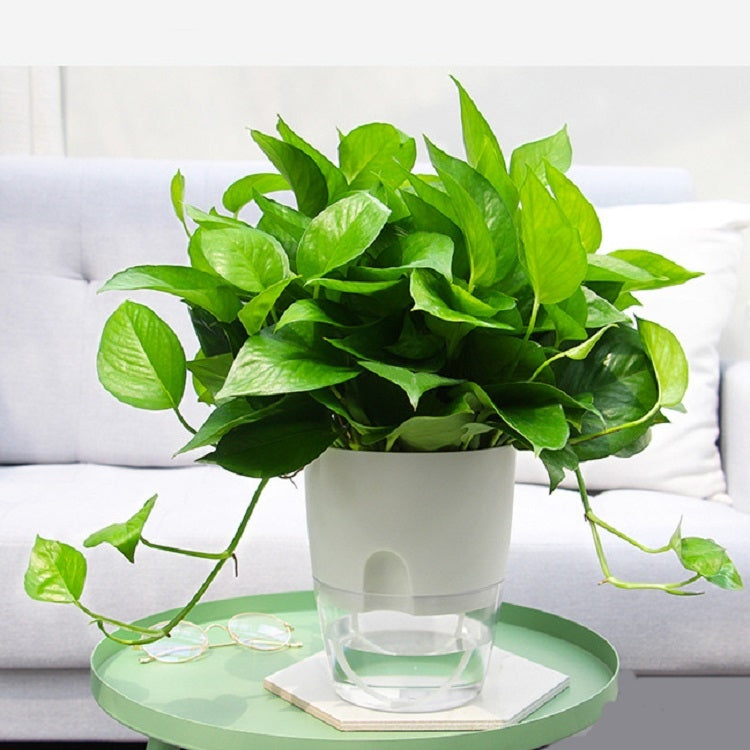 Transparent Plastic Double-Layer Water Storage Automatic Water-Absorbing Flowerpot