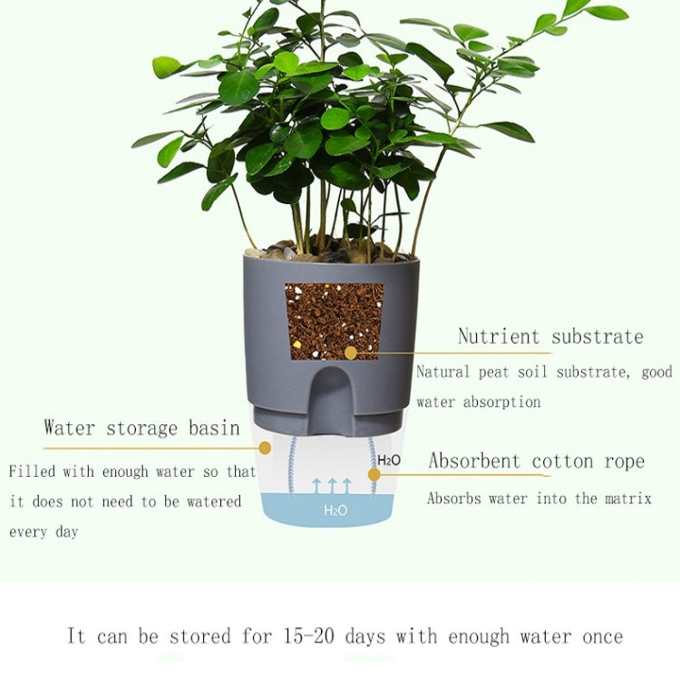 Transparent Plastic Double-Layer Water Storage Automatic Water-Absorbing Flowerpot