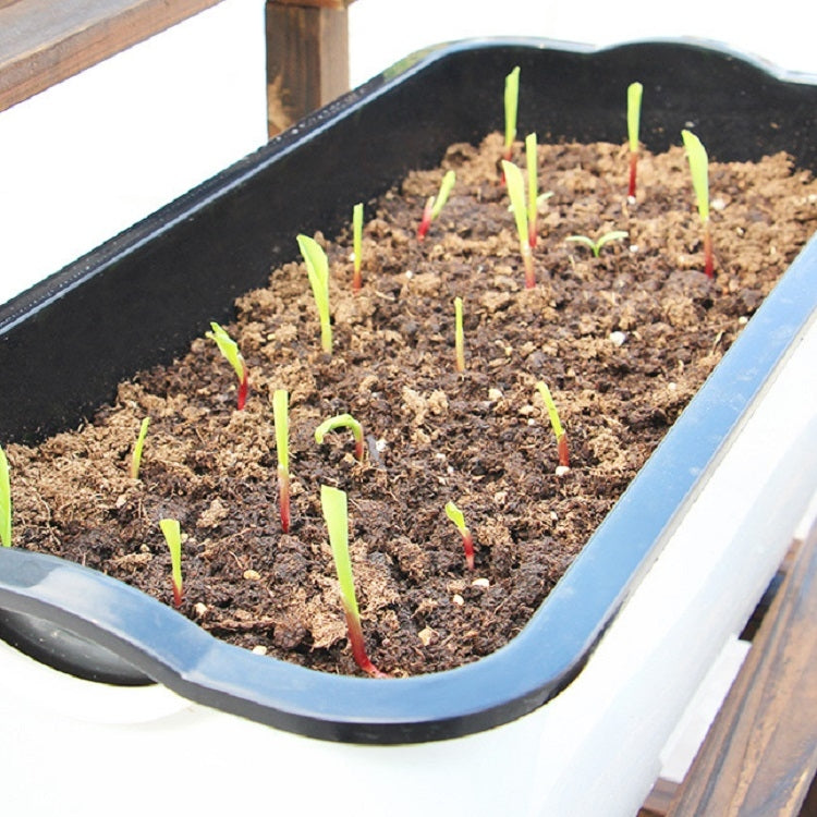 Family Balcony Rectangular Plastic Self-Absorbent Vegetable Growing Pot Flower Pot, Style: