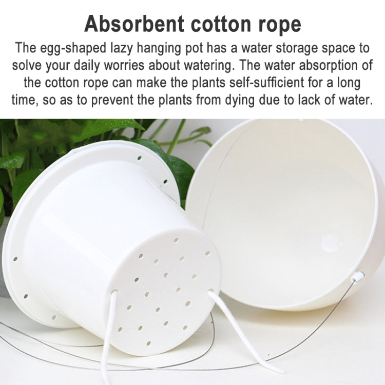 Wire Hanging Plastic Flowerpot With Automatic Water Absorption And Frosted Surface