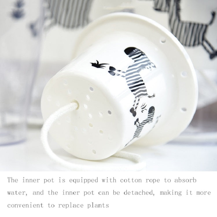 Fully Transparent Hydroponic Flower Pots Water Level Visible Non-Broken Glue Self-Absorbent Plastic Flower Pots