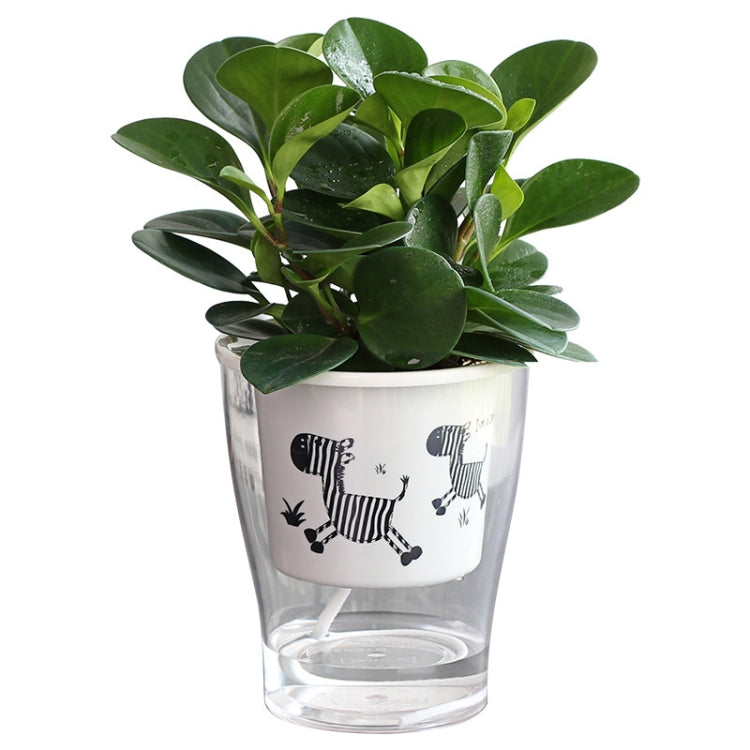 Fully Transparent Hydroponic Flower Pots Water Level Visible Non-Broken Glue Self-Absorbent Plastic Flower Pots