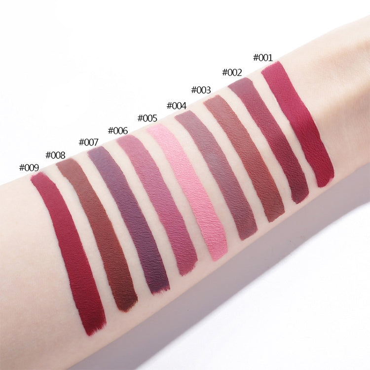 Matte Waterproof Makeup Lip Gloss Liquid Lip Stick Long Lasting Lipgloss
