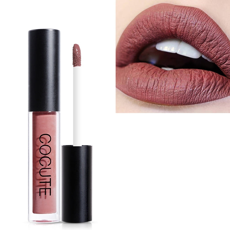 Matte Waterproof Makeup Lip Gloss Liquid Lip Stick Long Lasting Lipgloss