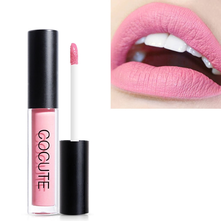 Matte Waterproof Makeup Lip Gloss Liquid Lip Stick Long Lasting Lipgloss