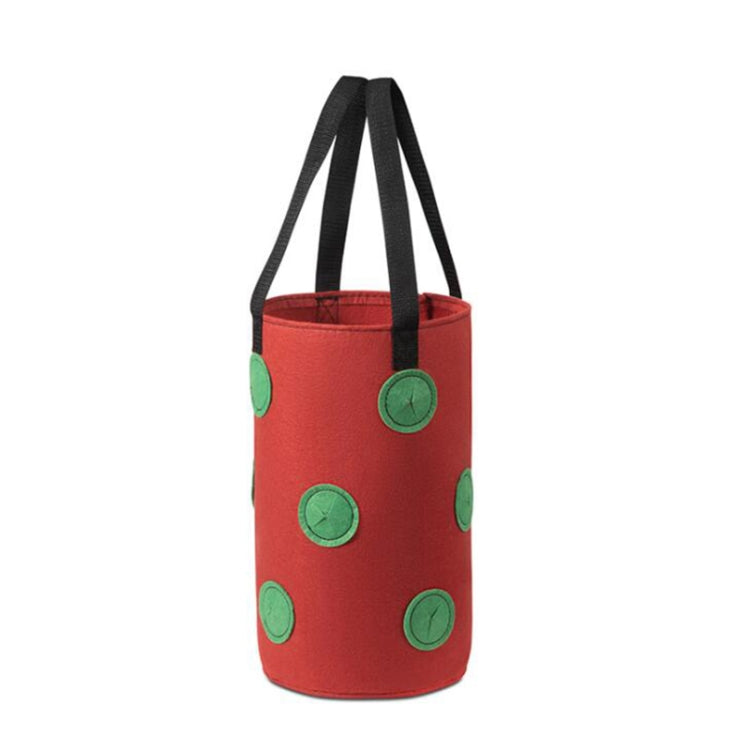 Multi-Mouth Hanging Strawberry Plant Bag With 13 Holes