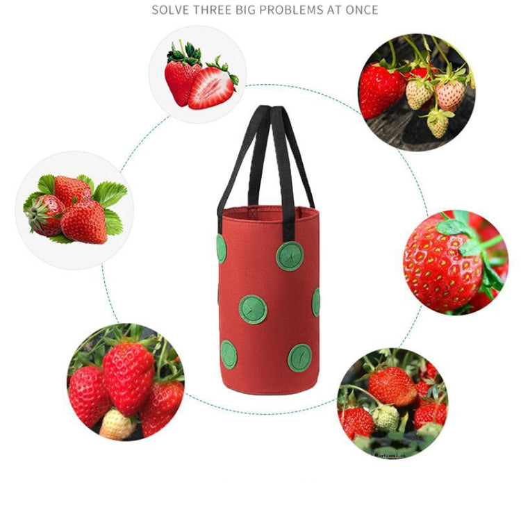 Multi-Mouth Hanging Strawberry Plant Bag With 13 Holes