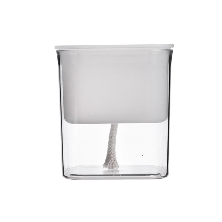 Hydroponic Transparent Visible Plastic Flower Pot