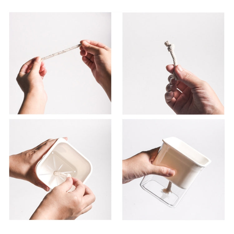 Hydroponic Transparent Visible Plastic Flower Pot