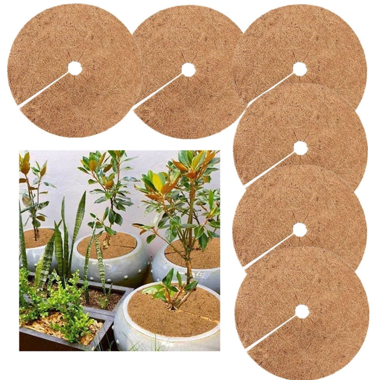 6 PCS/Set Plant Root Antifreeze Flowerpot Coconut Palm Flat Mat, Size: