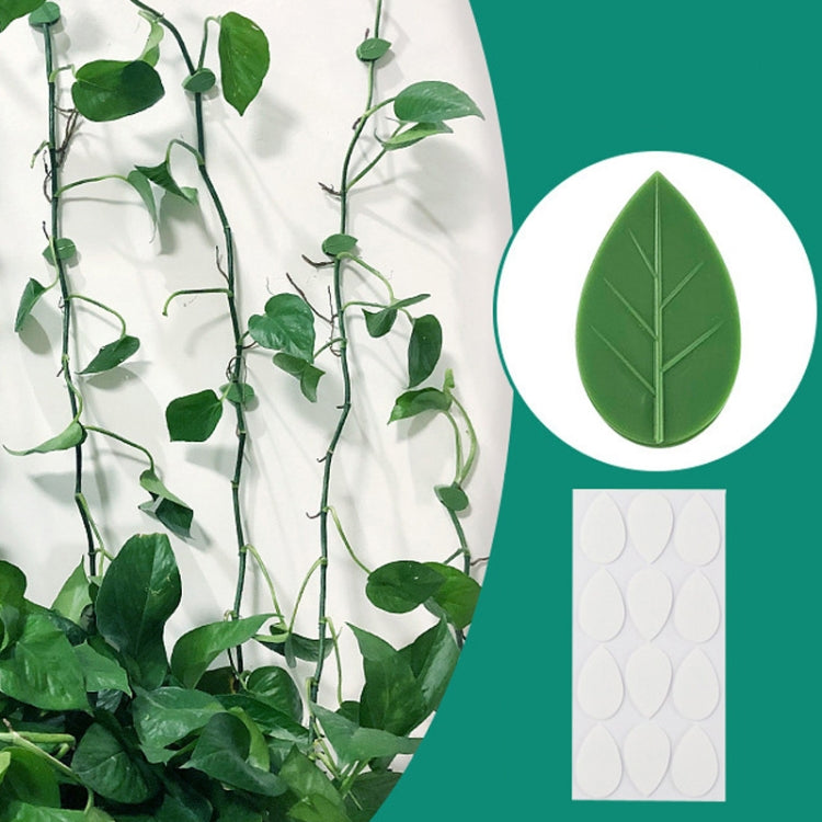 10pcs /Pack Vines Green Plants Indoor Finishing Clips Green Dill Fixer