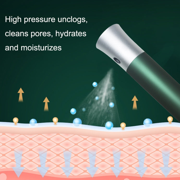 ZY2105 Household Hand-Held Moisturizing Device Facial Beauty Device