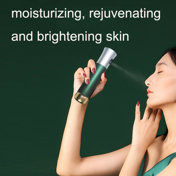 ZY2105 Household Hand-Held Moisturizing Device Facial Beauty Device