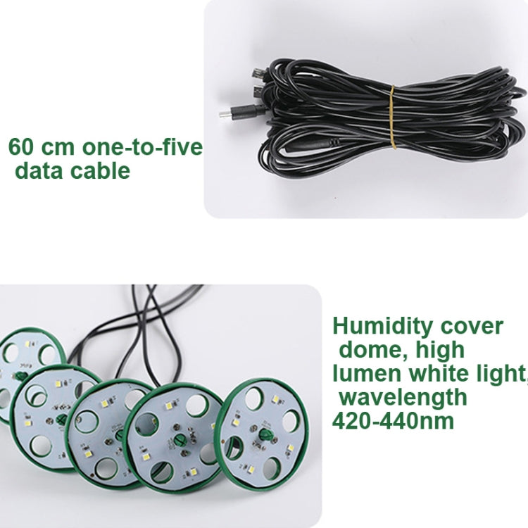 5 Set Plant Seed Starter Trays Kit,Seedling Tray Starter With Grow Light