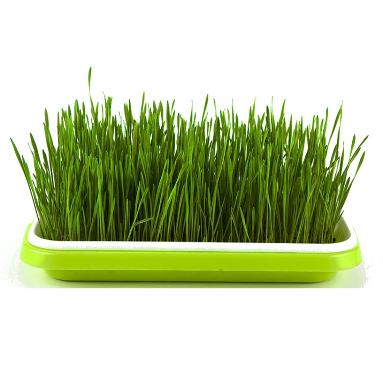 5 PCS Bean Sprout Germination Tray Soilless Culture Seedling Pot