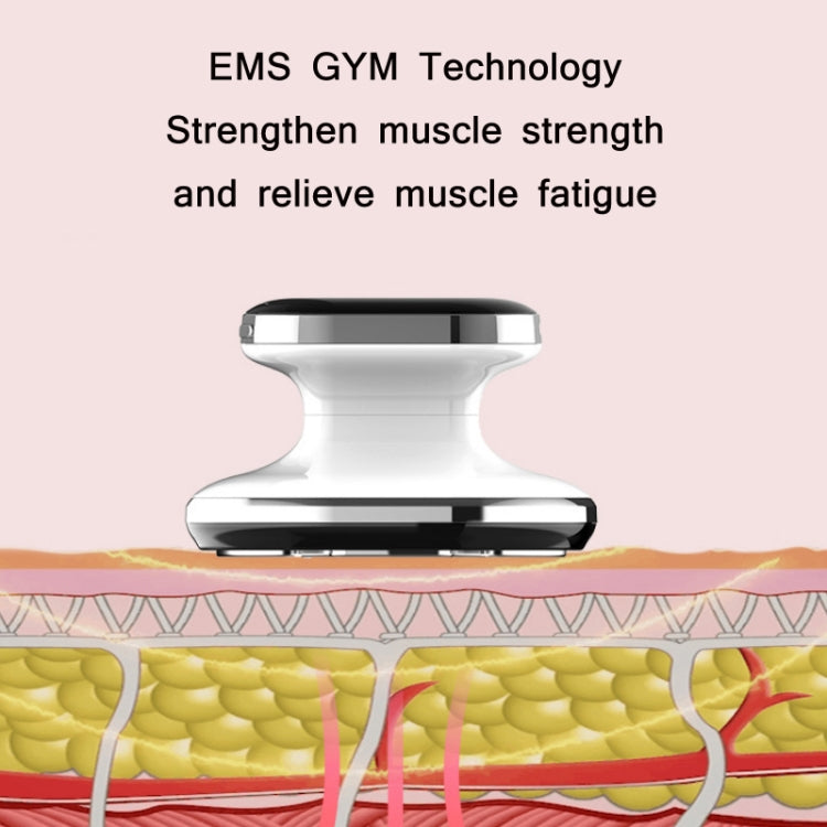 Ultrasonic Shaping Fat Burning Slimming Beauty Instrument