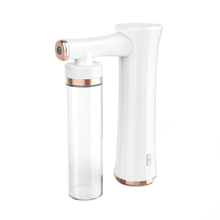 XL022 Blue Light Nano High Pressure Oxygen Handheld Home Beauty Instrument Essence Importer