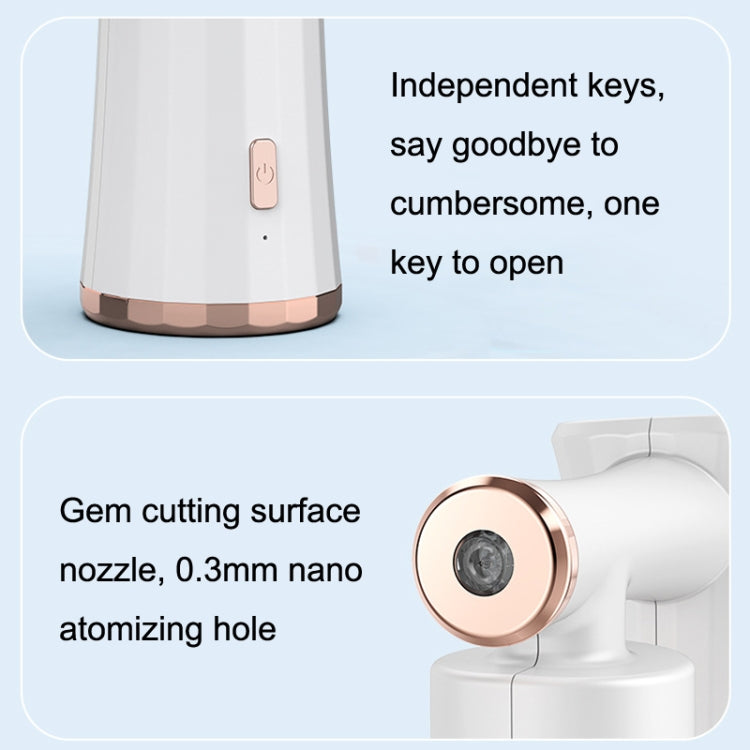 XL022 Blue Light Nano High Pressure Oxygen Handheld Home Beauty Instrument Essence Importer