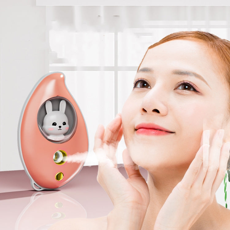 Mango Spray Moisturizing Moisturizer Portable Handheld Facial Beauty Steamer