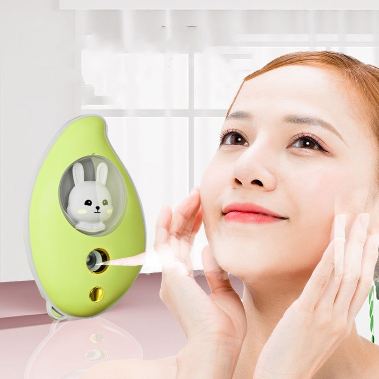 Mango Spray Moisturizing Moisturizer Portable Handheld Facial Beauty Steamer