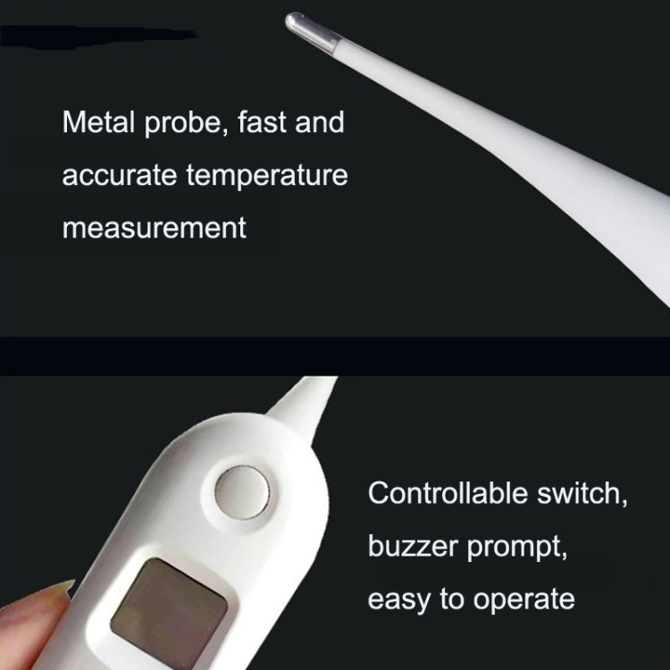 Large Screen Electronic Fast Veterinary Thermometer