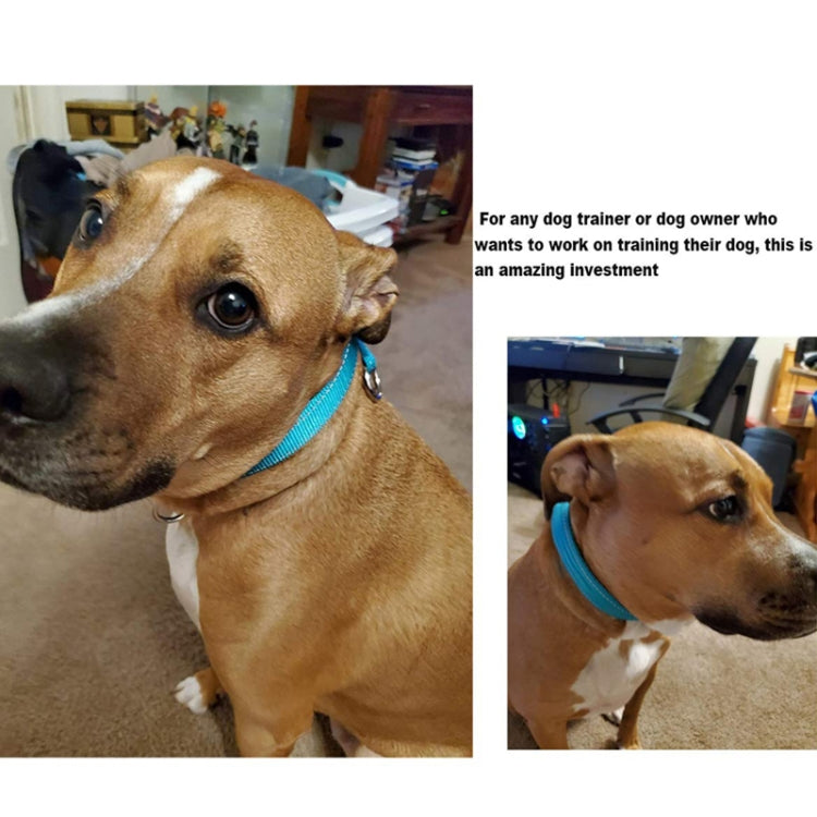 Nylon Reflective Filament P Chain Adjustable Size Collar