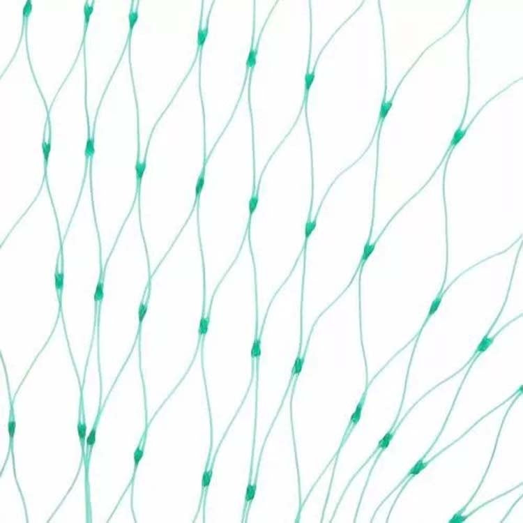 Anti Bird Protection Net Mesh Garden Plant Netting Protect Plants and Fruit