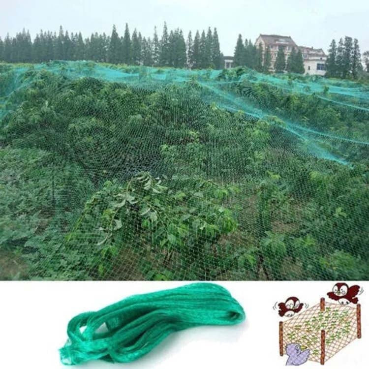 Anti Bird Protection Net Mesh Garden Plant Netting Protect Plants and Fruit