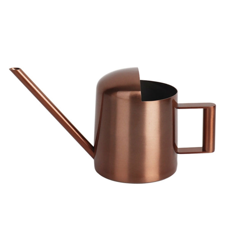 300ML Stainless Steel Watering Can with Long Spout