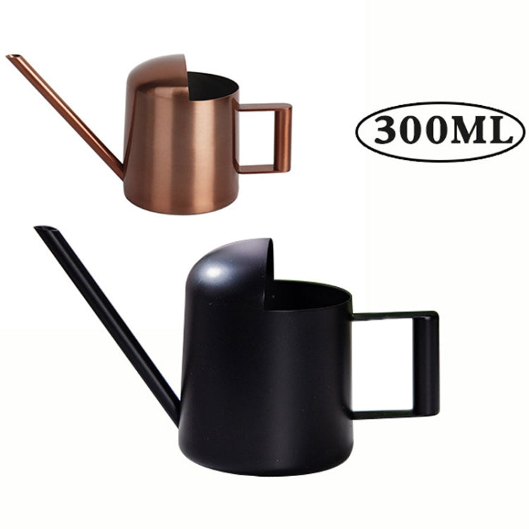 300ML Stainless Steel Watering Can with Long Spout