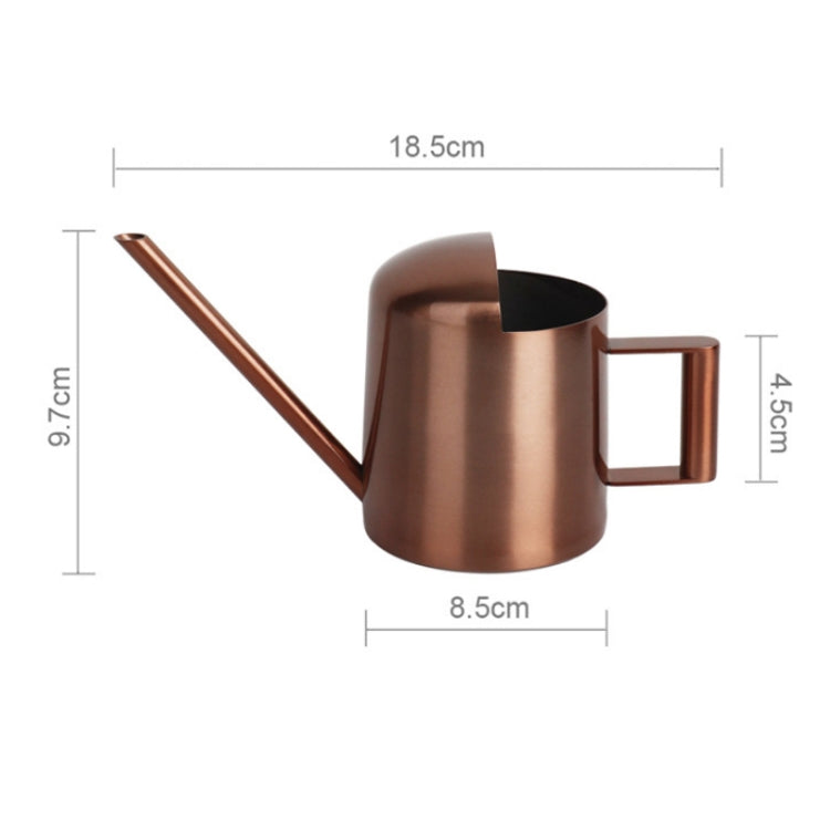 300ML Stainless Steel Watering Can with Long Spout