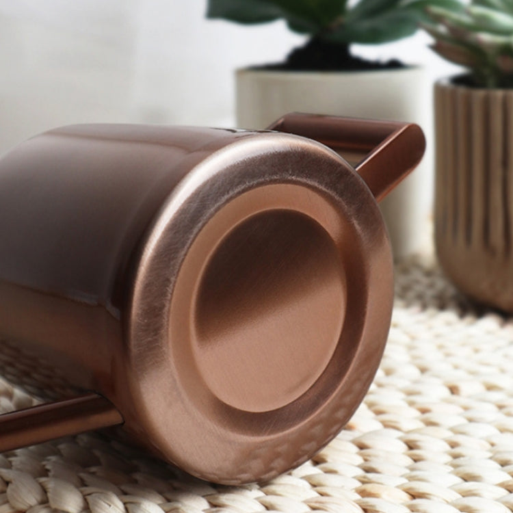 300ML Stainless Steel Watering Can with Long Spout