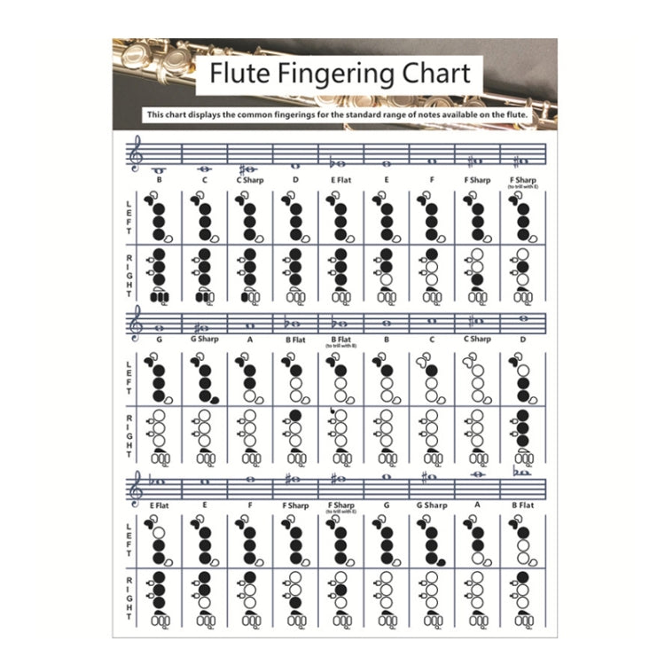 Coated Paper Flute Chord Fingering Practice Chart Staff Chord Fingering