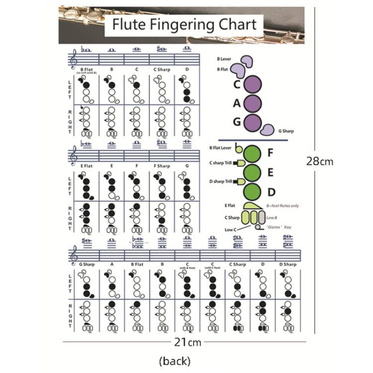 Coated Paper Flute Chord Fingering Practice Chart Staff Chord Fingering