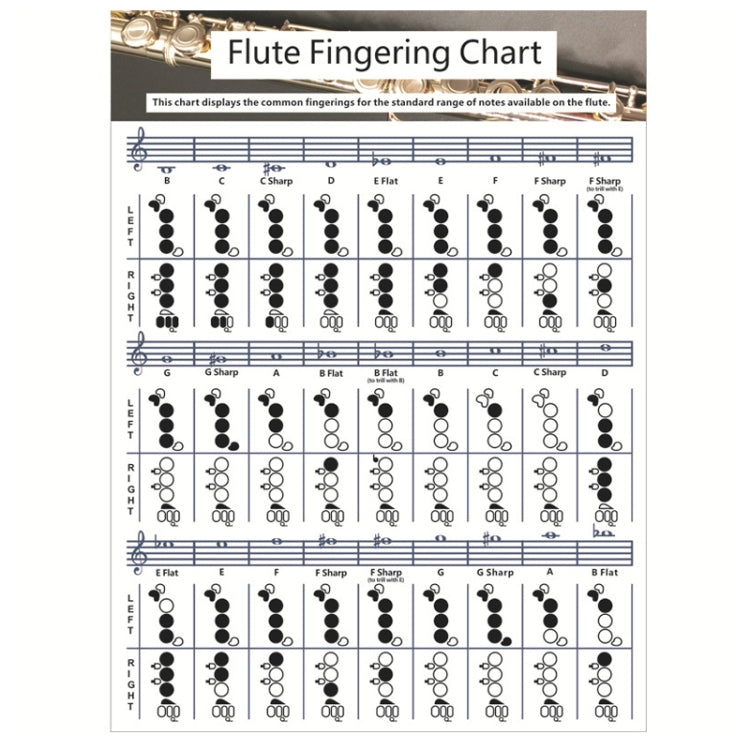 Coated Paper Flute Chord Fingering Practice Chart Staff Chord Fingering