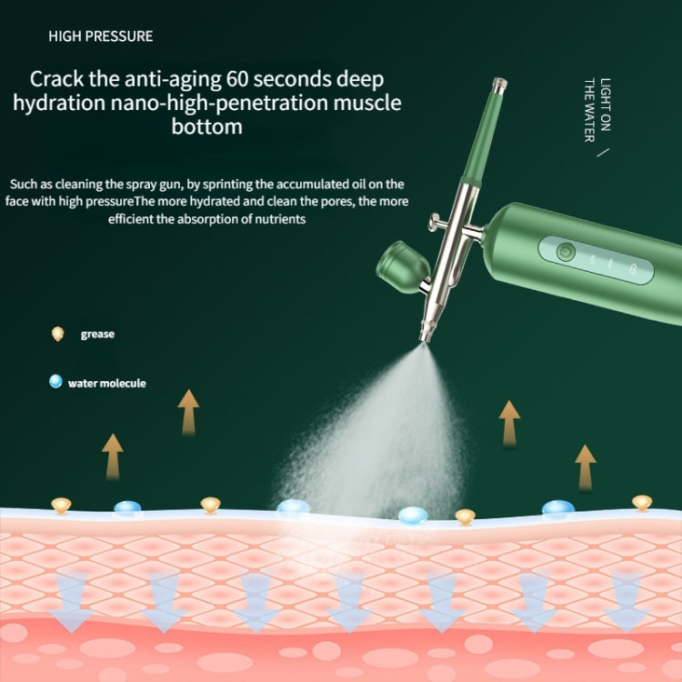 Handheld Home Sprayer Face High Pressure Oxygen Hydration Beauty Instrument