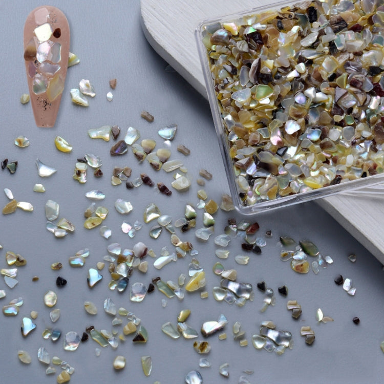 Nail Art Decoration Seashell Fragment Nail Decoration, Style: 04 Colorful