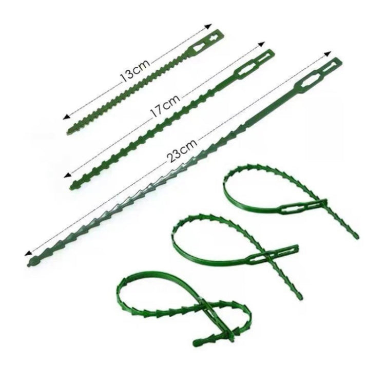 Multi-Purpose Garden Plants Fishbone Cable Ties, Length: 23cm/50pcs
