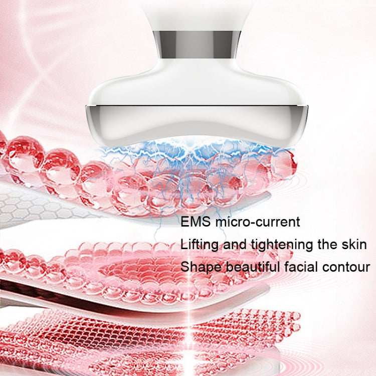 KAKUSAN KKS183 Vibrating Massage Neck Wrinkle Instrument Neck Face Massage Instrument