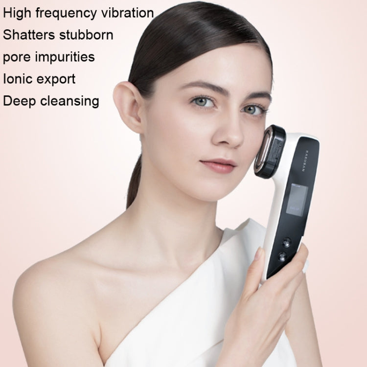 KAKUSAN KKS154-A EMS Microcurrent Home Photonic Skin Rejuvenation RF Beauty Instrument