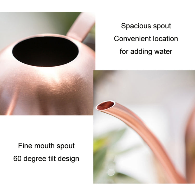 450ML Stainless Steel Long Mouth Gardening Watering Pot