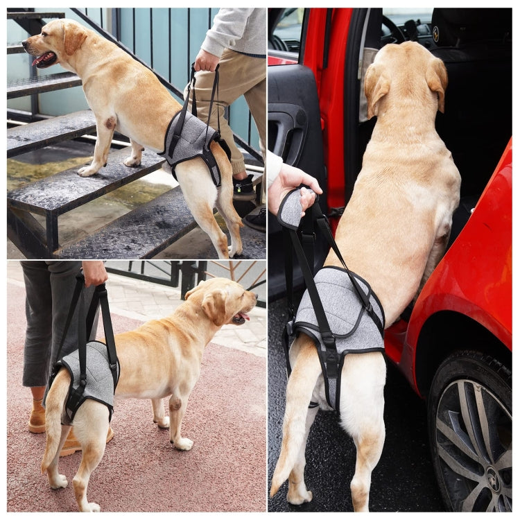 Dog Hind Leg Auxiliary Strap Decompression Auxiliary Travel Belt For Elderly and Injured Dog