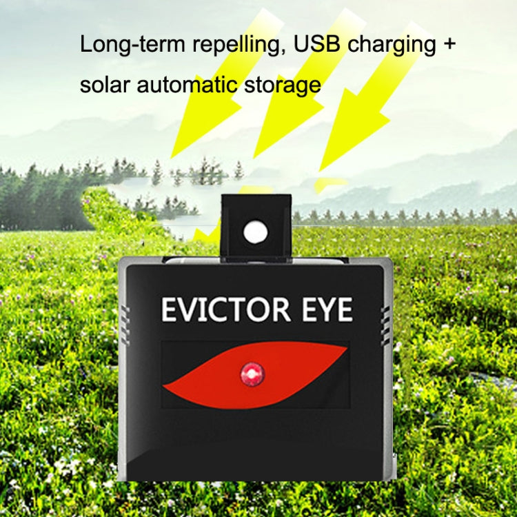 Solar Farm Wild Eagle Eye Animal Repeller