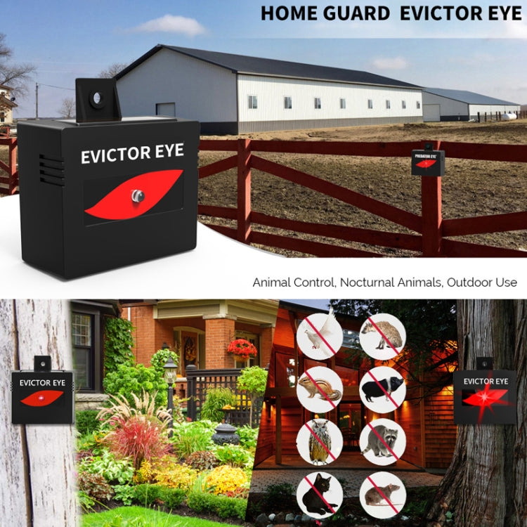 Solar Farm Wild Eagle Eye Animal Repeller