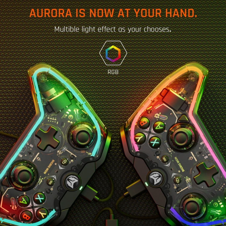 RGB Light Wired Gamepad Controller For PC/Switch
