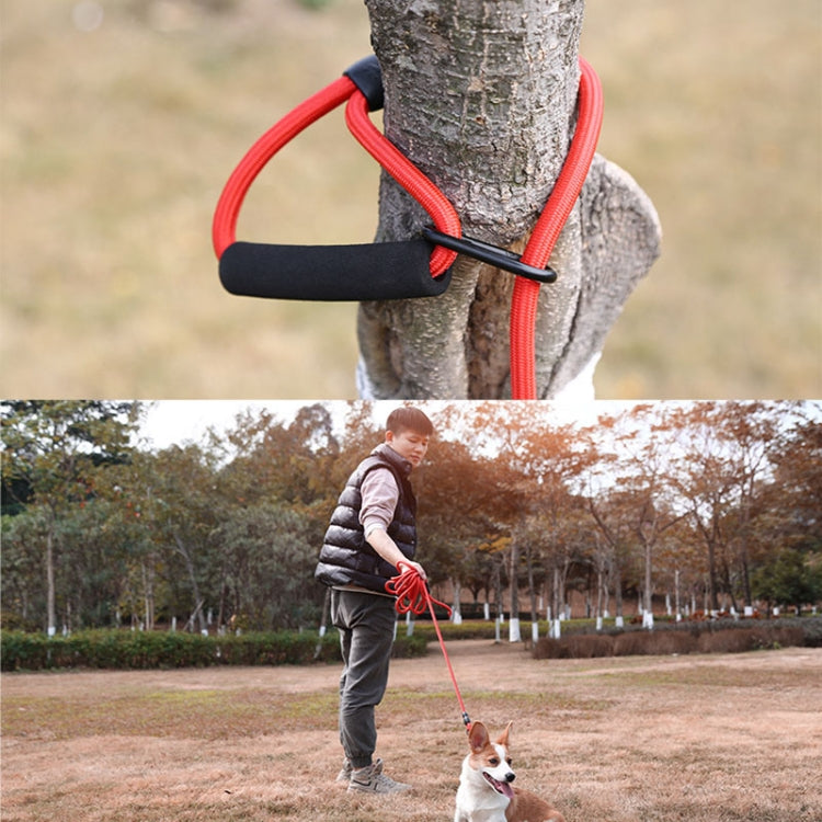 Sh36 Rock Climbing Rope Pet Leash Bold and Long Dog Training Tracking Rope