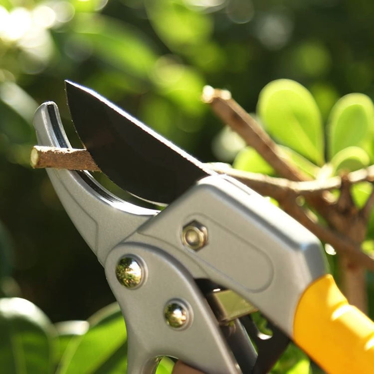 Pruning Shears Clippers for Gardening Tree Plant Floral Trimming